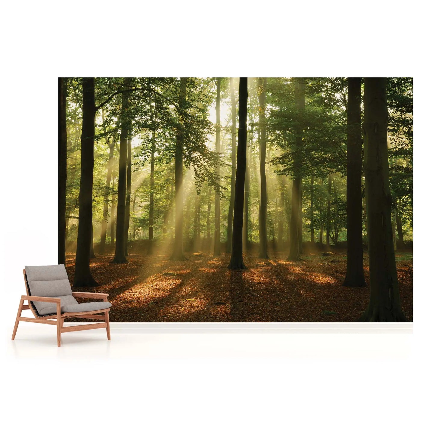 Green Summer Forest Trees Nature Non-woven Photo Wallpaper (W x H) 368 cm x 254 cm (144" x 100")