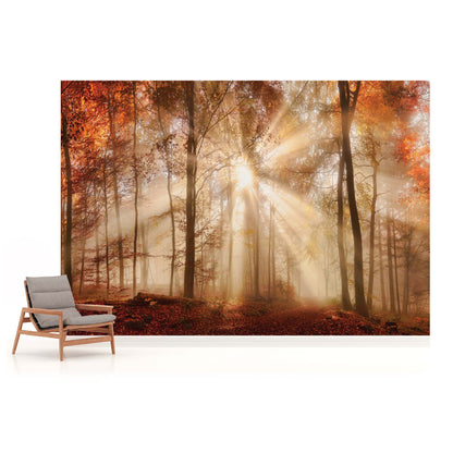 Orange Autumn Forest Bedroom Nature Non-woven Photo Wallpaper (W x H) 312 cm x 219 cm (123" x 86")