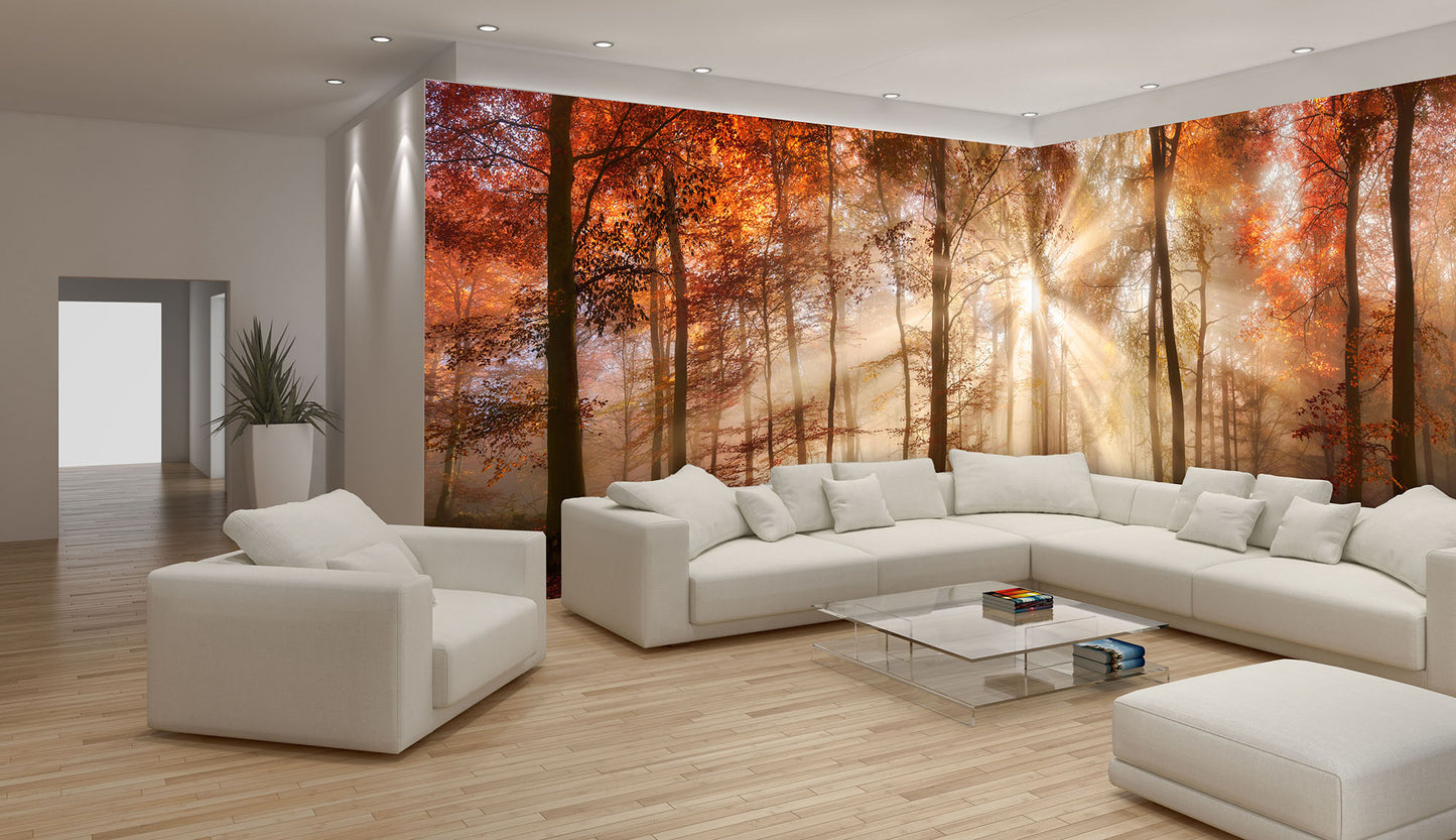 Orange Autumn Forest Nature Bedroom Nature Non-woven Photo Wallpaper (W x H) 312 cm x 219 cm (123" x 86")