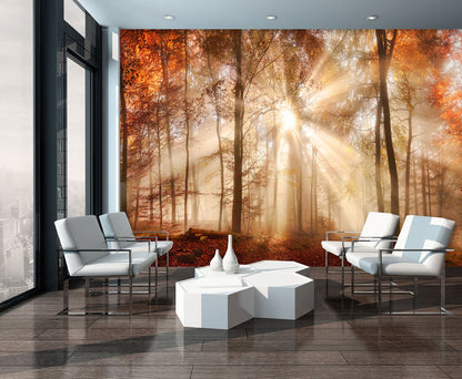 Orange Autumn Forest Bedroom Nature Non-woven Photo Wallpaper (W x H) 312 cm x 219 cm (123" x 86")