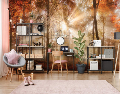 Orange Autumn Forest Bedroom Nature Non-woven Photo Wallpaper (W x H) 312 cm x 219 cm (123" x 86")