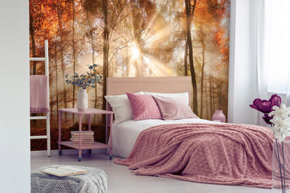 Orange Autumn Forest Bedroom Nature Non-woven Photo Wallpaper (W x H) 312 cm x 219 cm (123" x 86")