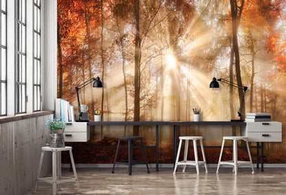 Orange Autumn Forest Bedroom Nature Non-woven Photo Wallpaper (W x H) 312 cm x 219 cm (123" x 86")