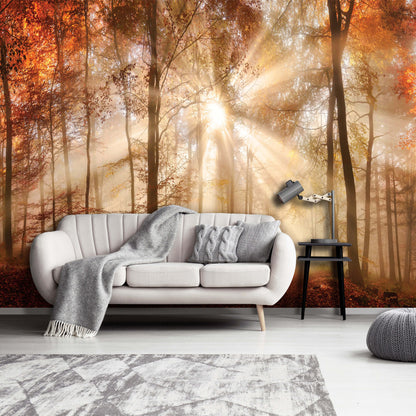 Orange Autumn Forest Bedroom Nature Non-woven Photo Wallpaper (W x H) 312 cm x 219 cm (123" x 86")