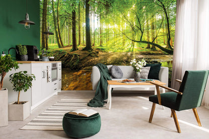 Green Trees Forest Stream
