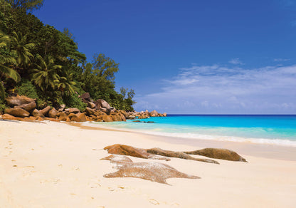 Sandy Beach Living Room Tropical Scenery Non-woven Photo Wallpaper (W x H) 368 cm x 254 cm (144" x 100")