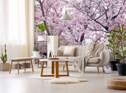 Pink Flowering Tree Nature Non-woven Photo Wallpaper (W x H) 312 cm x 219 cm (123" x 86")