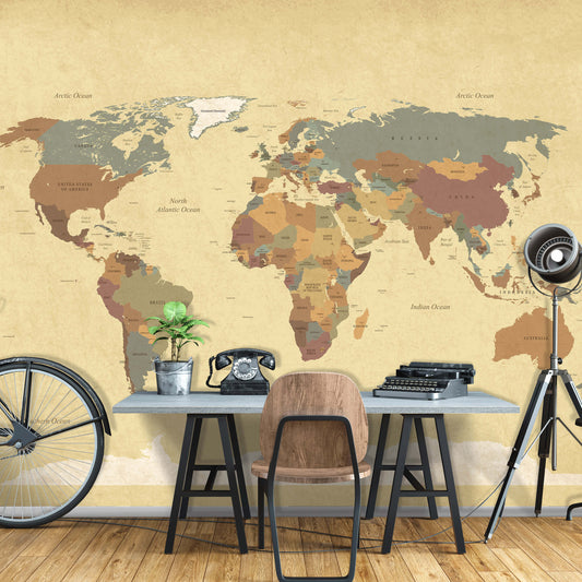 Political Map of The World Brown Non-woven Photo Wallpaper (W x H) 368 cm x 254 cm (144" x 100")