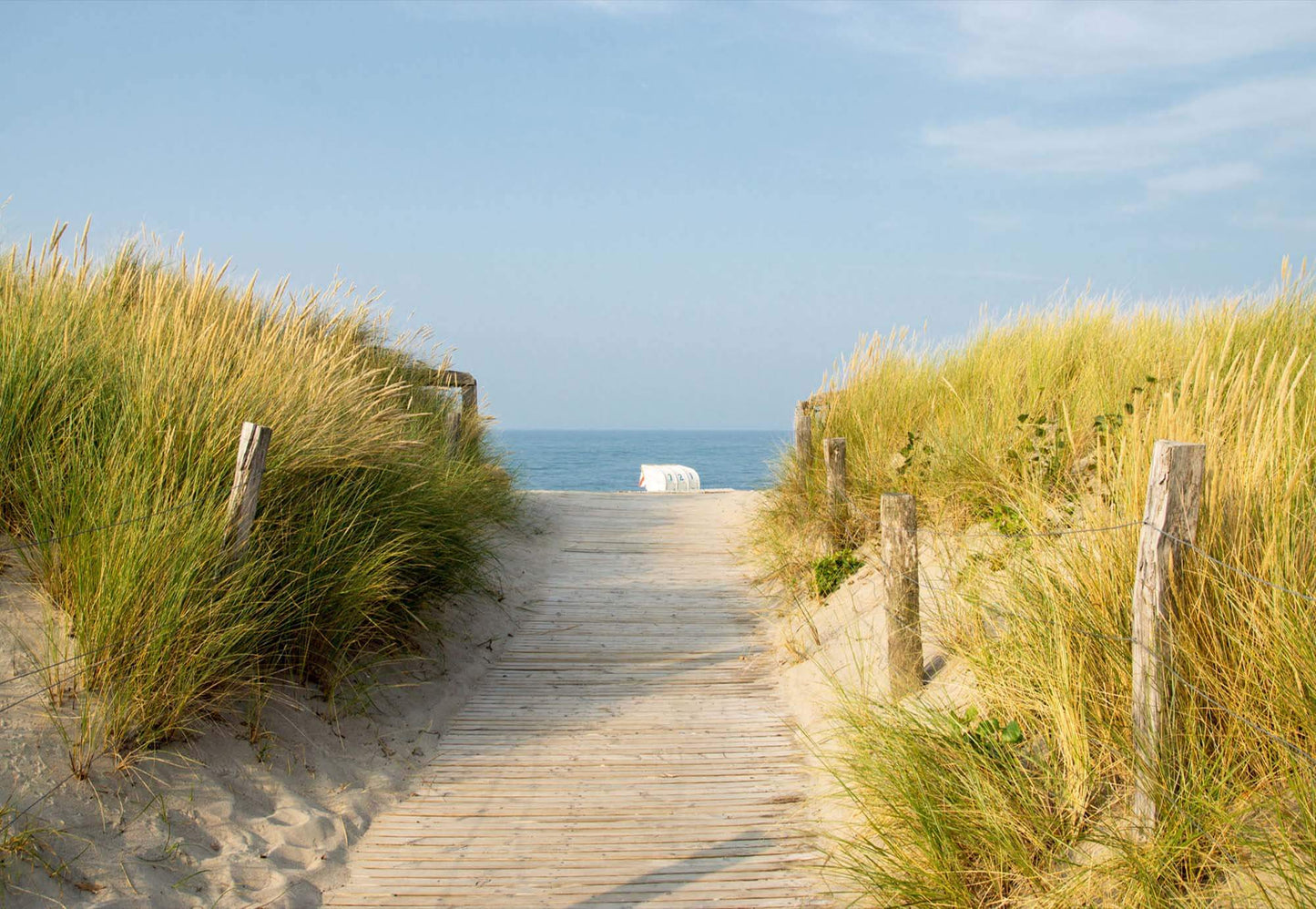 Sandy Beach Covered with Grass Nature Non-woven Photo Wallpaper (W x H) 368 cm x 254 cm (144" x 100")