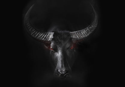 Wild Black Animal Non-woven Photo Wallpaper (W x H) 312 cm x 219 cm (123" x 86")