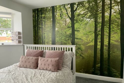 Green Autumn Forest Nature Wallpaper Mural  (W x H) 384 cm x 260 cm (151" x 102")