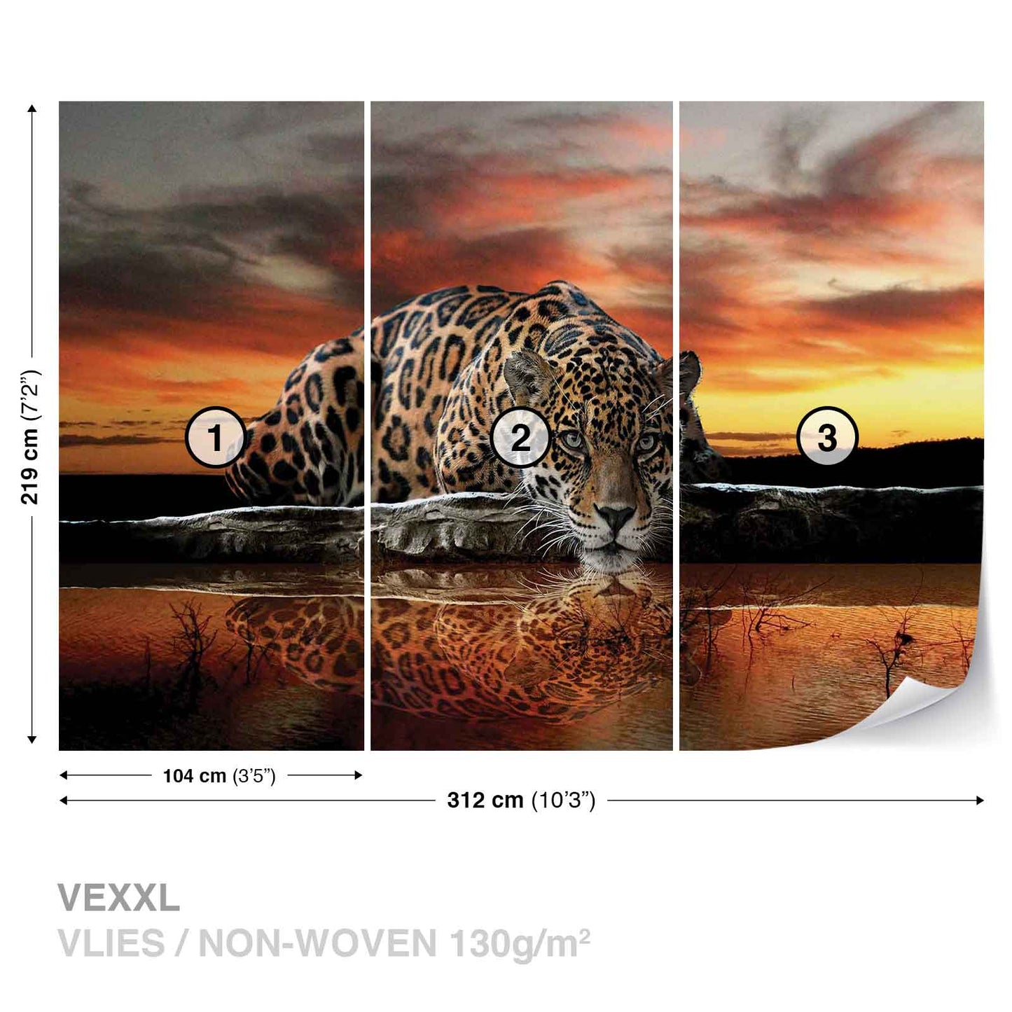 Leopard Wild Cat Orange Animal Animal Non-woven Photo Wallpaper (W x H) 312 cm x 219 cm (123" x 86")