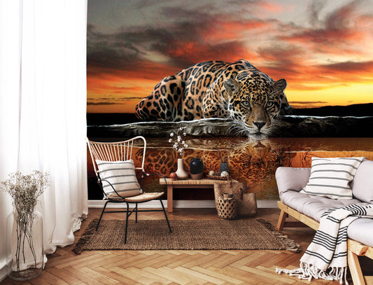 Leopard Wild Cat Orange Animal Animal Non-woven Photo Wallpaper (W x H) 312 cm x 219 cm (123" x 86")