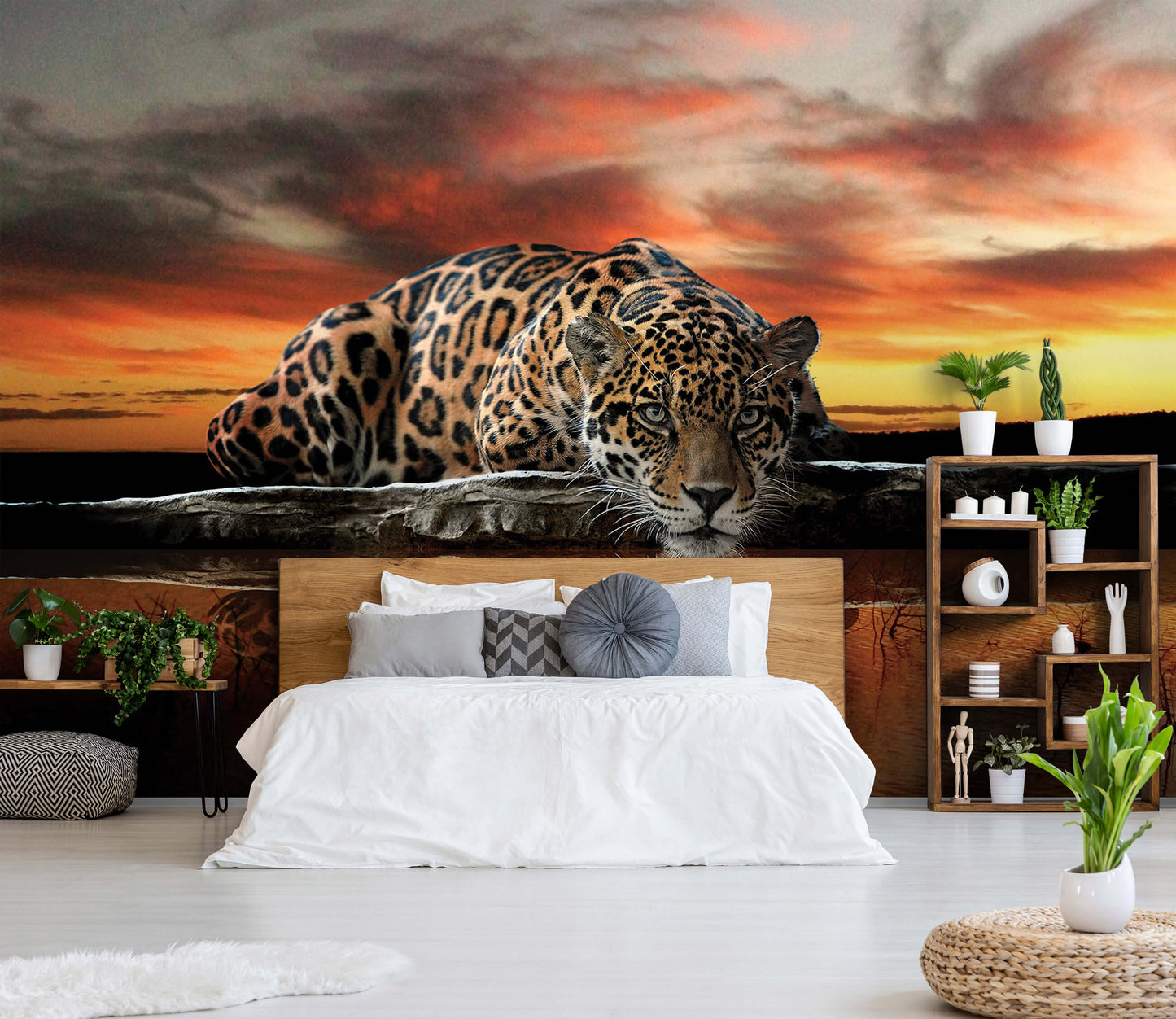 Leopard Wild Cat Orange Animal Animal Non-woven Photo Wallpaper (W x H) 312 cm x 219 cm (123" x 86")