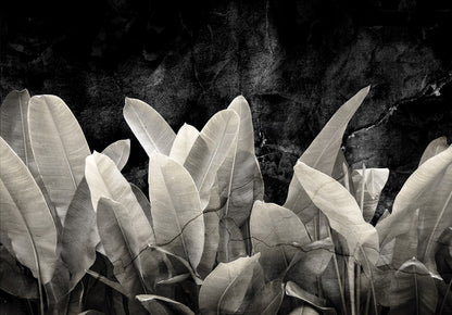 Black and white leaves against a dark background