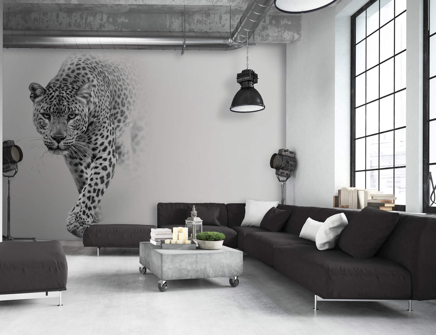 Grey Leopard Animal Animal Non-woven Photo Wallpaper (W x H) 312 cm x 219 cm (123" x 86")