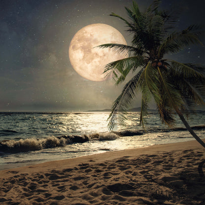Night Beach with Moon Tropical Scenery Non-woven Photo Wallpaper Size Selection