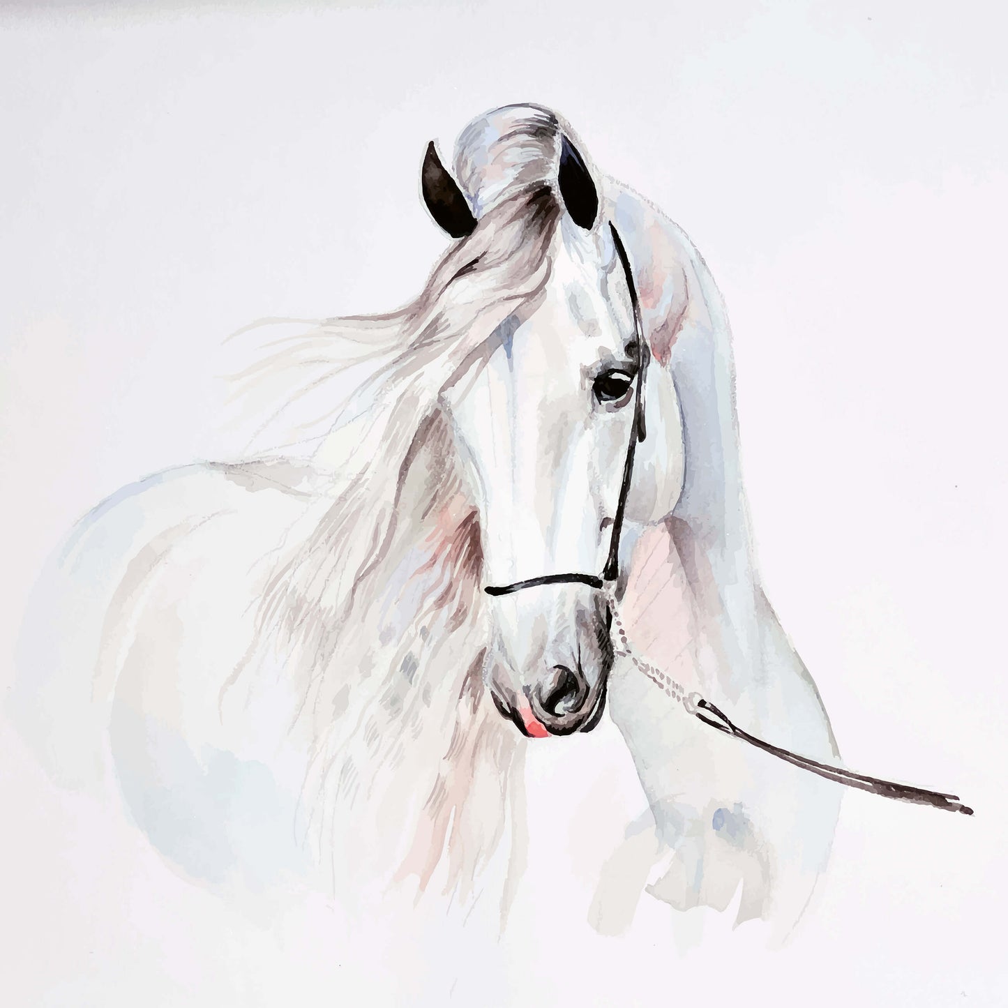 White Pony Horse Animal Animal Non-woven Photo Wallpaper (W x H) 312 cm x 219 cm (123" x 86")