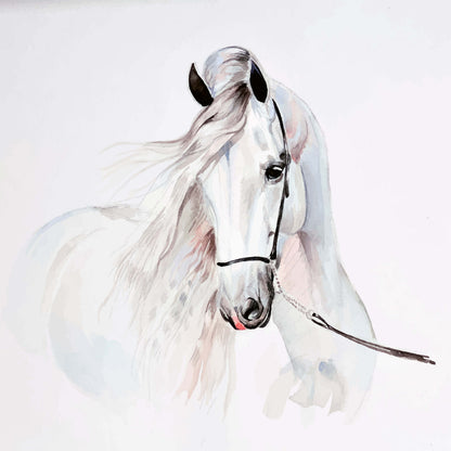 White Pony Horse Animal Animal Non-woven Photo Wallpaper (W x H) 312 cm x 219 cm (123" x 86")
