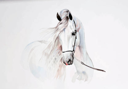 White Pony Horse Animal Animal Non-woven Photo Wallpaper (W x H) 312 cm x 219 cm (123" x 86")