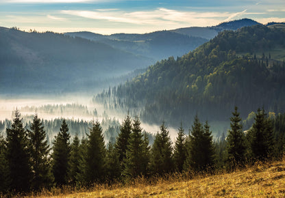 Mountain Forest Scenery Nature Non-woven Photo Wallpaper (W x H) 312 cm x 219 cm (123" x 86")