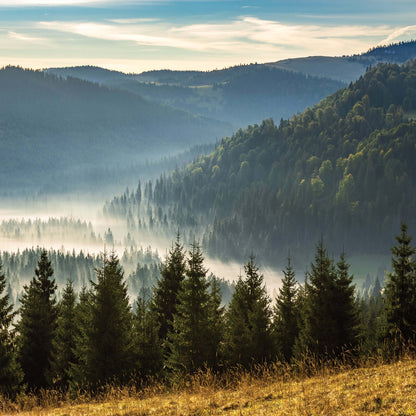 Mountain Forest Scenery Nature Non-woven Photo Wallpaper (W x H) 312 cm x 219 cm (123" x 86")