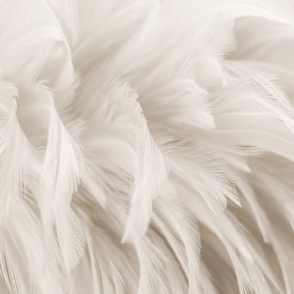 Delicate Feathers Design Living Room Animal Non-woven Photo Wallpaper (W x H) 312 cm x 219 cm (123" x 86")