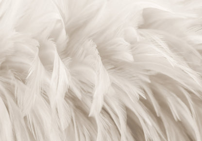 Delicate Feathers Design Living Room Animal Non-woven Photo Wallpaper (W x H) 312 cm x 219 cm (123" x 86")