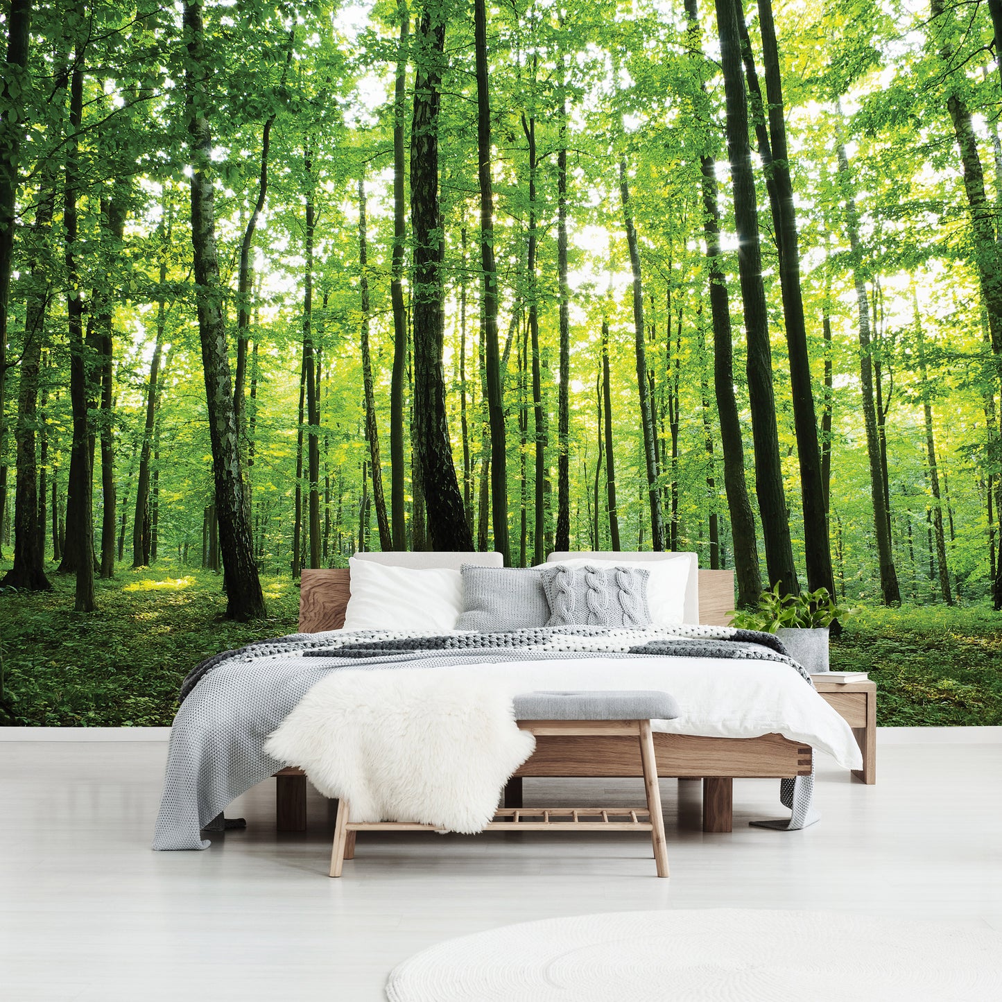 Green Summer Forest Scenery Nature Non-woven Photo Wallpaper (W x H) 368 cm x 254 cm (144" x 100")