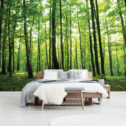 Green Summer Forest Scenery Nature Non-woven Photo Wallpaper