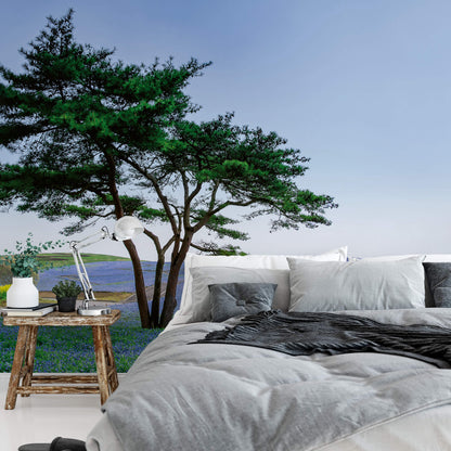 Tree on the middle of the Blue Flower Field Nature Wallpaper Mural  (W x H) 384 cm x 260 cm (151" x 102")