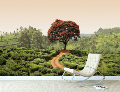 Red Tree And Hills Sri Lanka Nature Wallpaper Mural (W x H) 384 cm x 260 cm (151" x 102")