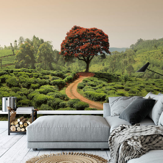 Red Tree And Hills Sri Lanka Nature Wallpaper Mural (W x H) 384 cm x 260 cm (151" x 102")