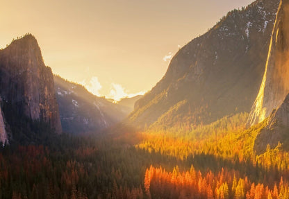 Sunrise in a Mountain Valley Yosemite National Park Nature Wallpaper Mural (W x H) 384 cm x 260 cm (151" x 102")