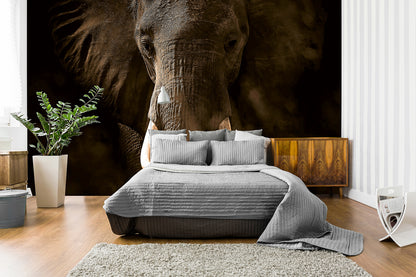 Elephant Animal Animal Wallpaper Mural  (W x H) 384 cm x 260 cm (151" x 102")