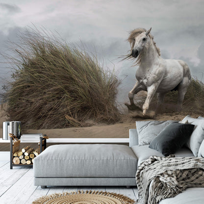 White Wild Horse Animal Wallpaper Mural (W x H) 384 cm x 260 cm (151" x 102")