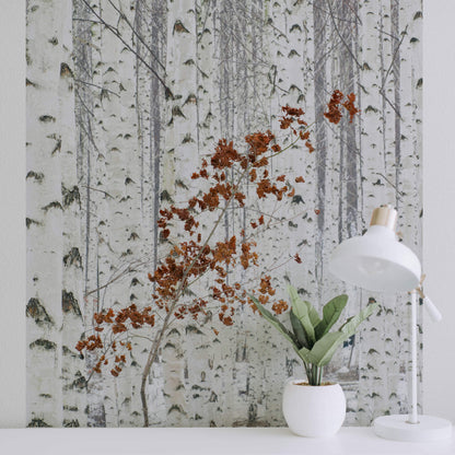 A nature wallpaper mural featuring a white birch forest scene with a small branch and some leaves, installed on a wall in a home environment.