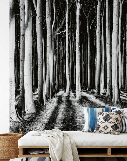 Ghost Forest Night Nature Wallpaper Mural (W x H) 384 cm x 260 cm (151" x 102")