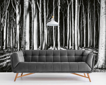 Ghost Forest Night Nature Wallpaper Mural (W x H) 384 cm x 260 cm (151" x 102")