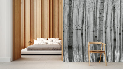 Birch Forest in the Water Nature Wallpaper Mural  (W x H) 384 cm x 260 cm (151" x 102")