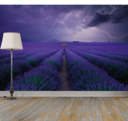 A nature wallpaper mural featuring a field of lavender with a stormy background