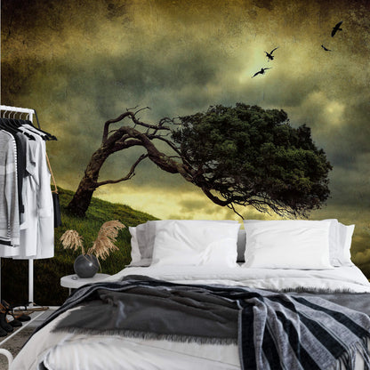 Lonely Vintage Tree Nature Wallpaper Mural (W x H) 384 cm x 260 cm (151" x 102")