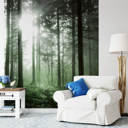 Green Misty Morning Forest Nature Wallpaper Mural (W x H) 384 cm x 260 cm (151" x 102")