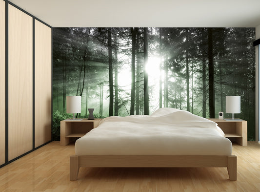 Green Misty Morning Forest Nature Wallpaper Mural (W x H) 384 cm x 260 cm (151" x 102")