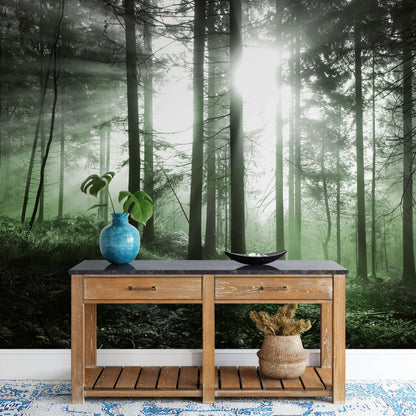 Green Misty Morning Forest Nature Wallpaper Mural (W x H) 384 cm x 260 cm (151" x 102")