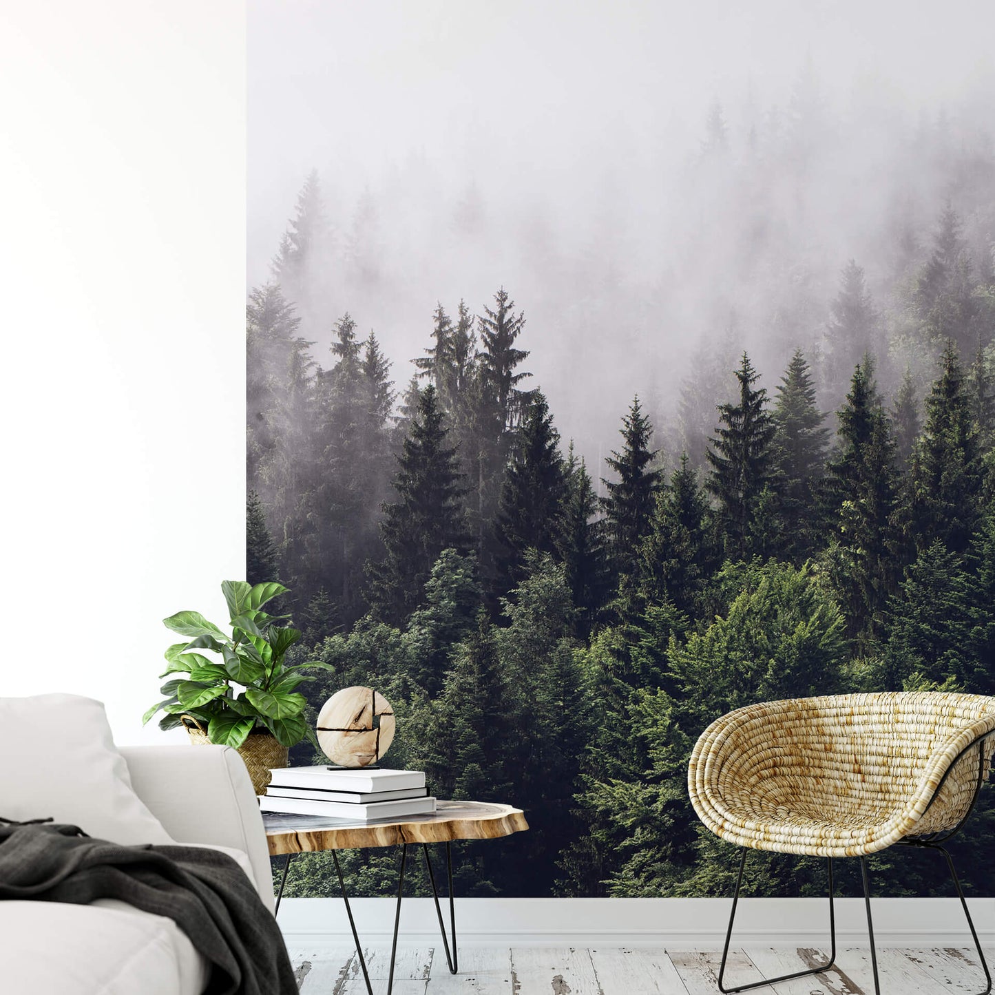 Foggy Forest Botanical Nature Wallpaper Mural  (W x H) 384 cm x 260 cm (151" x 102")