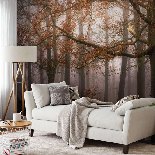 Autumn orange forest photo wallpaper