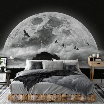 Moon and Birds Black Cosmos Astronomy Wallpaper Mural 