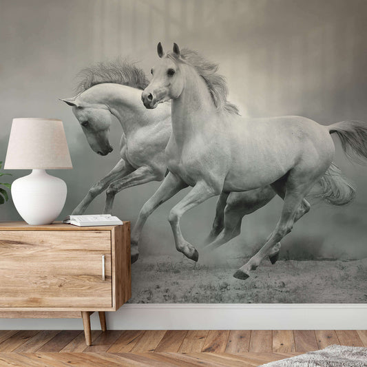 Two white galloping horses photo wallpaper