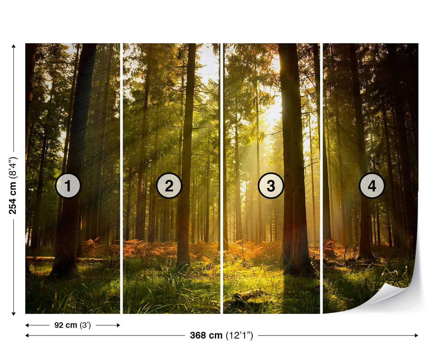 Green forest Scene Nature Non-woven Photo Wallpaper Size Selection